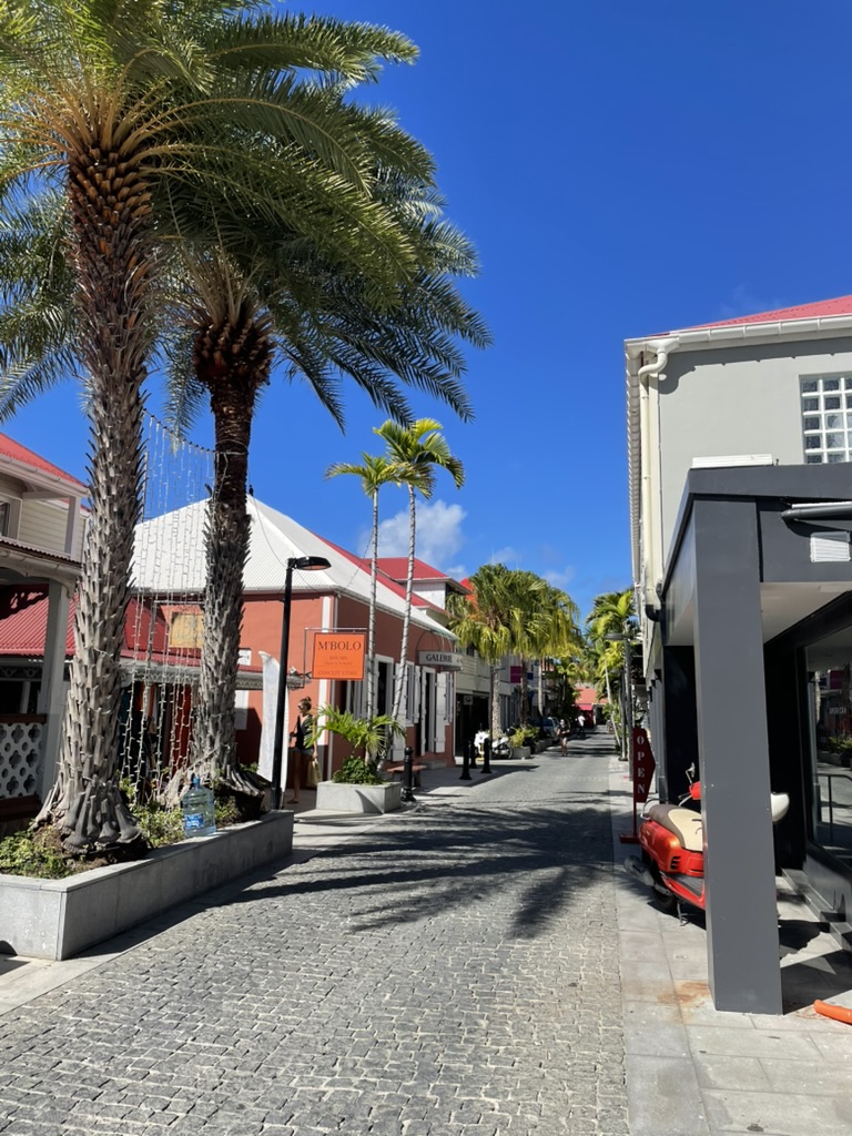 Palms and colourful luxury boutiques in Gustavia, Saint Barth